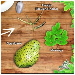 Chef Ayb’s Paragis with Moringa and Guyabano Tea (20 Tea bags)
