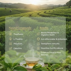 1-3PACK PiPi Tea Organic Oolong Tea Bags –Whole Leaf,20 Bags(4g Each) – Cortisol