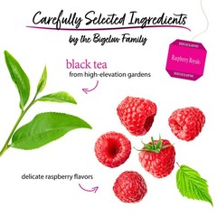 Bigelow Raspberry Royale Tea Bags 20-Count Boxes Pack of 6, 120 Tea Bags Total.