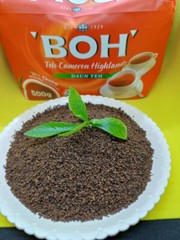 BOH CAMERON HIGHLANDS TEA LEAVE – 250 GM & 500 GM – FREE SHIPPING