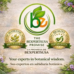 Pulmonaria Herbal Tea – 4 oz (113g) – 100% Natural Lungwort Herb – Wildcrafted