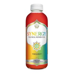Synergy The Real Kombucha Trilogy 16oz 6 Pack Fermented Tea Beverage