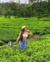 40g(1.41 oz)PACK Ceylon Tea Loose Leaf Organic Srilankan High Quality Black Tea