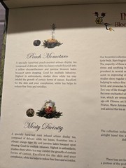 Teavana Royal Imperial Blooming Collection Tea Balls