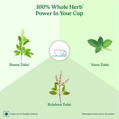 Organic India Tulsi Green Tea Classic Loose Leaves – 100gm
