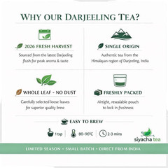 Darjeeling First Flush Tea 2026 Fresh CASTLETON SFTGFOP 1 Loose Leaf 500g