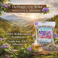 Pulmonaria Herbal Tea – 4 oz (113g) – 100% Natural Lungwort Herb – Wildcrafted