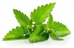Chocolate Mint Handmade 8oz Leaf Tea