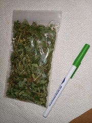 1 Cup Air Dried Stone breaker/Chamber Bitter/Chanca Piedra Herbal Tea.US grown.