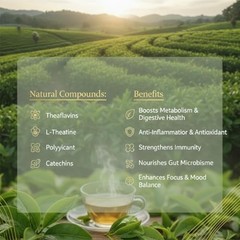PiPi Tea Organic Oolong Bags – Whole Leaf, 20 (4g Each) 20