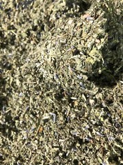 No.37 Herbal Blend Mix – Damiana Lavender Marshmallow Mullein Raspberry Leaf