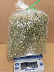 wholesale MARSHMALLOW Leaf 1 2 3 4 5 10 lbs pounds High QUALITY ORGANIC HERB