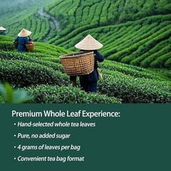 PiPi Tea Organic Oolong Bags – Whole Leaf, 20 (4g Each) 20