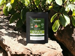 Mango Leaf Tea – Blood Sugar