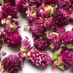 US SELLER! 8oz Food Grade Dried Loose Globe Amaranth Gomphrena Flower Herbal Tea