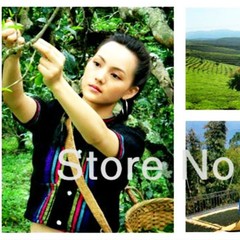 50g Ripe Pu-erh Tea Ball Assorted Top Grade Puerh Black Tea Healthy Drink 10Pcs