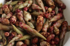 Red Que Zui YABAO Tea Pu-erh Tea Purple Buds Big Snowy Mountain Wild Tree 500g