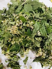 Calea Zacatechichi Mexican Dream Herb 100% Organic Ceylon Herbal Tea