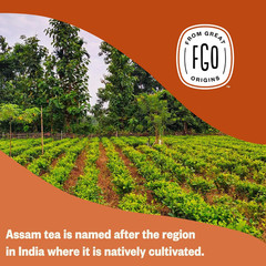 Organic Assam Tea, 100 Count, Eco-Conscious Black Tea Bags, Resealable Bag, Pack