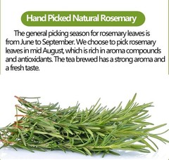 Premium Rosemary Tea Bags 100 Teabags. Made with 100% Pure Natural Rosemary L