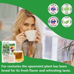 Organic Spearmint Tea Bags – 120 Count