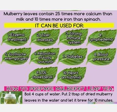 Dried Mulberry Leaf Tea – 20 Grams – 20 Servings