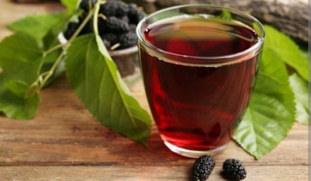 Mulberry Leaf TEA Organic Herbal Loose Dry LEAF 4 Oz