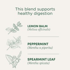 Naturally Delicious Organic Triple Mint Tea – Digestive Aid, 16 Compostable Bags