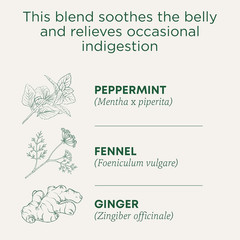 Organic Belly Comfort Peppermint Tea, Kosher, Non-Gmo, Caffeine-Free, Compostabl