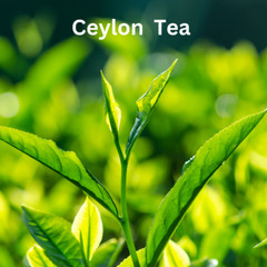 Earl Grey Loose Leaf Tea, Natural Bergamot Flavor Blended with Ceylon OP grade