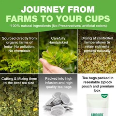HANDPICK, Organic Moringa Tea Bags (100 Count), Pure Moringa Leaves | Authentic