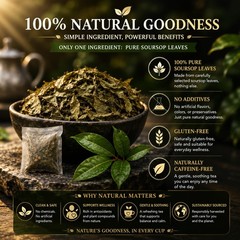 45 Count Premium Soursop Graviola Tea Bags 100% Natural soursop leaves, NonG…