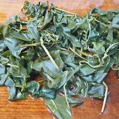 2024 New tea -Alishan mountain Oolong tea 300g* 4 Made Taiwan 04/22