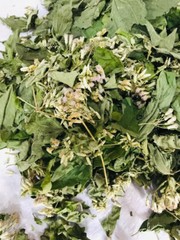 Calea Zacatechichi Mexican Dream Herb 100% Organic Ceylon Herbal Tea