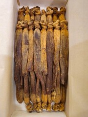 Korean 6 Year Red Ginseng Root Good Grade 40 Ji 300g ( 24Root ) 10% Top Grade