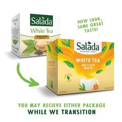 Salada Pure White Tea, 40-Count Packages (Pack of 6)