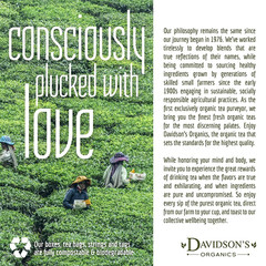 Davidson’S Tea Bulk, Organic Assam Banaspaty Estate Tea 1 Pound Bag