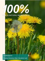 Dandelion Leaf & Root Tea Bags Herbal Tea Bags for Liver & Kidney Health Detox