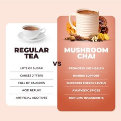 RŸZE Mushroom Chai With 6 Adaptogenic Mushrooms Beverage Powder FREE SHIPPING.