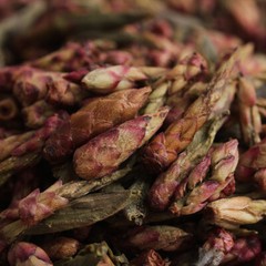 Red Que Zui YABAO Tea Pu-erh Tea Purple Buds Big Snowy Mountain Wild Tree 500g