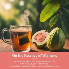 Organico Te Guayaba, Dried Guava Leaves, Hoja De Guayaba, Weight loss Tea 75Bags
