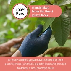 75 Organic Guava Leaf Tea Bags, 100% Pure Guava Tea, DiabeticTea