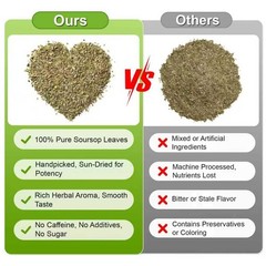 Soursop Leaves Tea 2g x 60 Teabags | 100% Natural Graviola 60