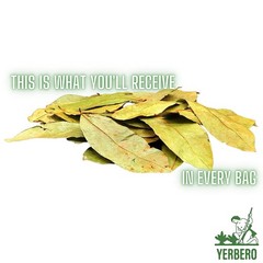 Yerbero Dried Graviola Soursop Leaves 4 oz | 100 Natural Tea from Mexico