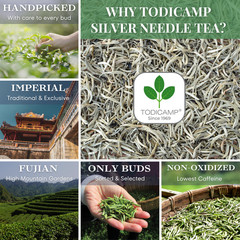 TODICAMP USDA Organic Silver Needle Tea – 16 Ounces of Premium Silver Needle Tea