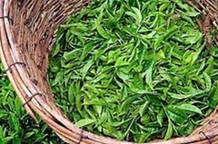 Pure Ceylon Finest Green Tea Weight Loss Natural Beverage, Free Shipping