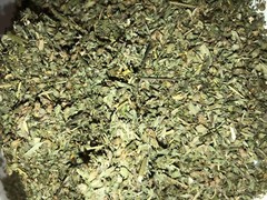 DAMIANA & CATNIP Bulk Herb Leaf Mix Blend Natural Botanical Tea – oz 1 2 4 8 oz