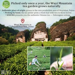 Dahongpao Oolong Tea Wuyi Mountain Big Red Robe Natural Loose Leaf 120g