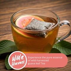 75 Organic Guava Leaf Tea Bags, 100% Pure Guava Tea, DiabeticTea
