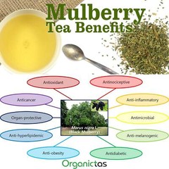 Organic Black Mulberry Leaf Tea (Morus Nigra) Wild Harvest Premium Quality
